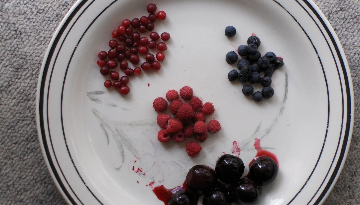 Waldbeeren | © Bernhard Abmayr