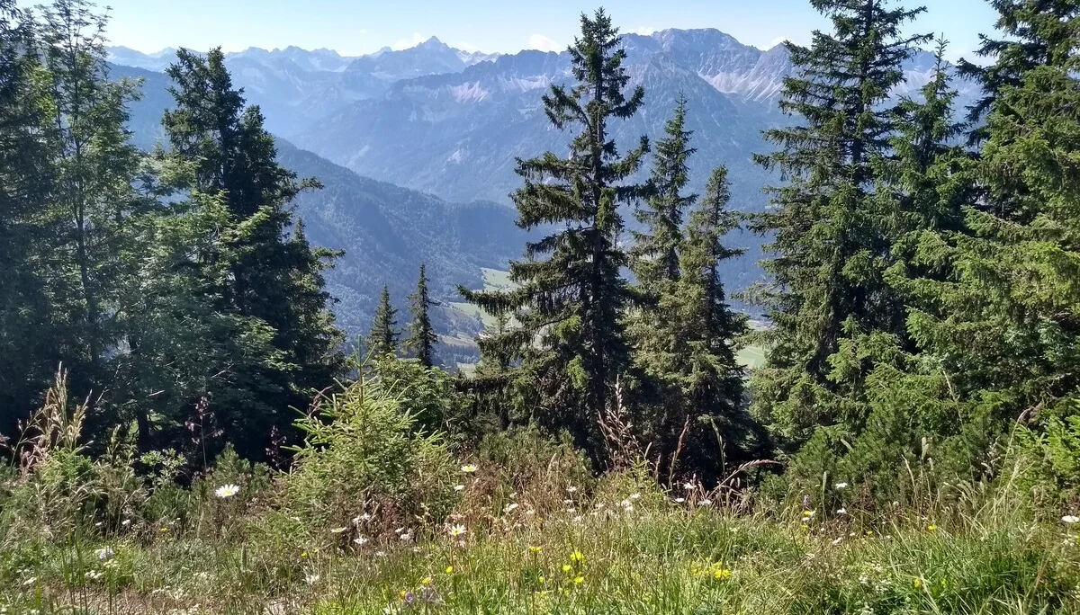 © Ludwig Bigelmayer