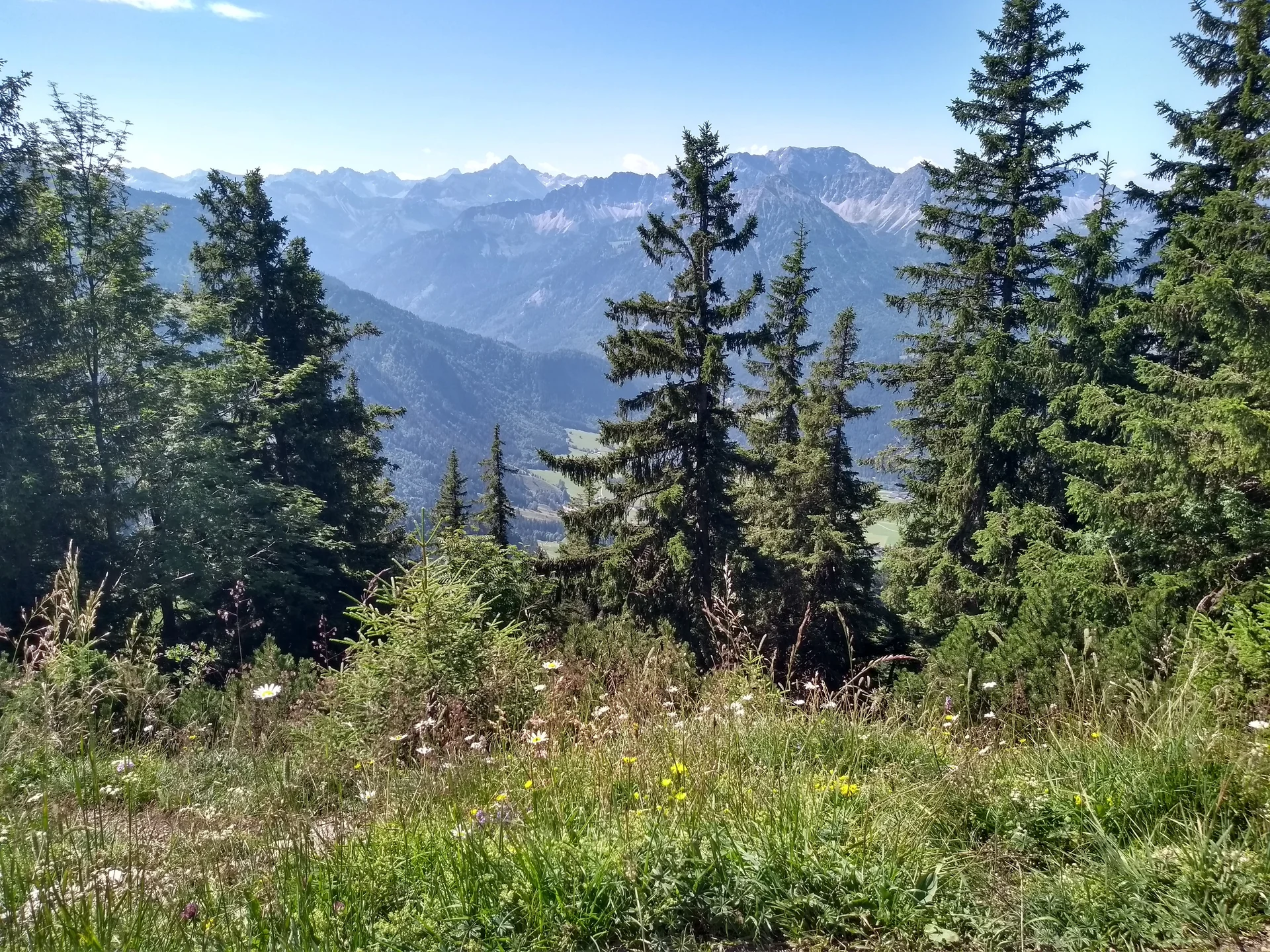 © Ludwig Bigelmayer